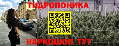 крисы Апшеронск
