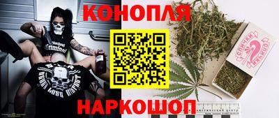 крисы Апшеронск