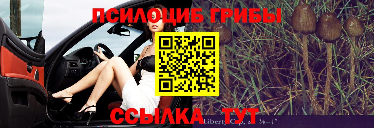 Галлюциногенные грибы Psilocybe Бугульма